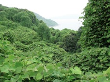 Fukuoka Nokonoshima